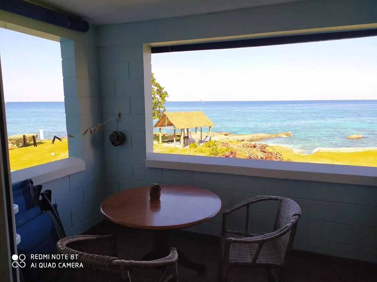 Апартаменты Coastal Haven -Oceanfront Escape Ориндж-Бей
