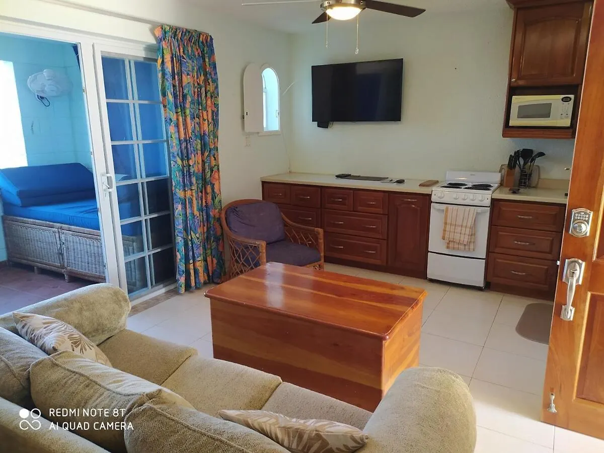 Апартаменты Coastal Haven -Oceanfront Escape Ориндж-Бей