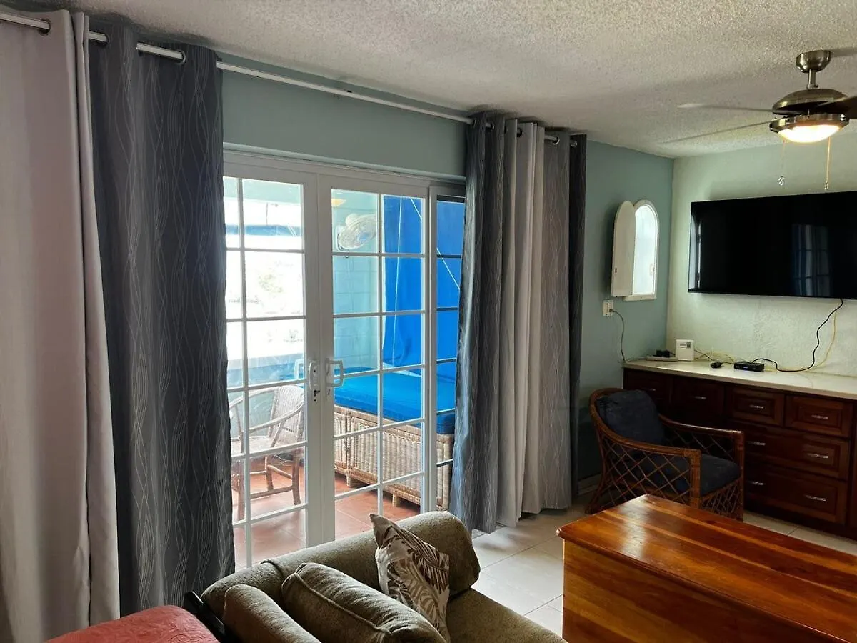 Апартаменты Coastal Haven -Oceanfront Escape Ориндж-Бей