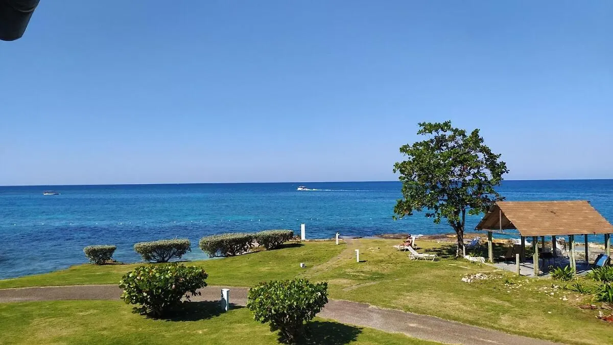 Апартаменты Coastal Haven -Oceanfront Escape Ориндж-Бей