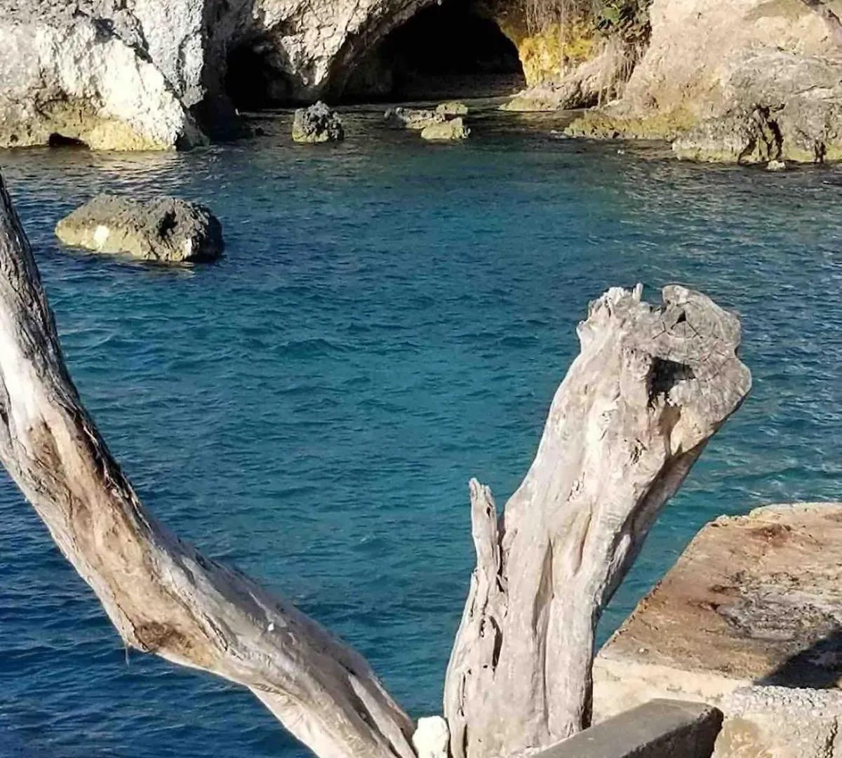 Апартаменты Coastal Haven -Oceanfront Escape Ориндж-Бей Ямайка
